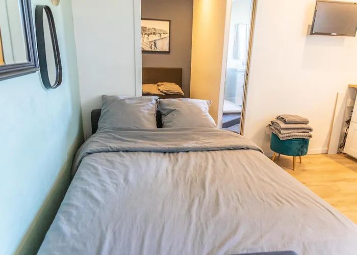 Residence Grand Jardin Attenant Tennis, Mini Golf, Sauna, Petanque